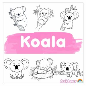 Koala Coloring Pages