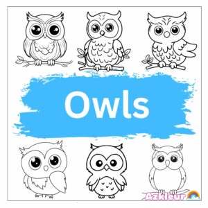 Owl Coloring Pages