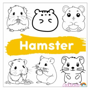 Hamster Coloring Page