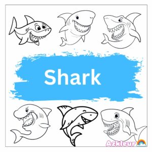Shark Coloring Pages