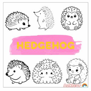 Hedgehog Coloring Page