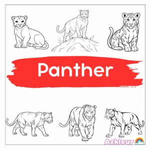 Panther Coloring Pages
