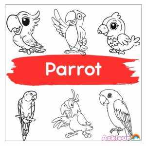 Parrot Coloring Pages