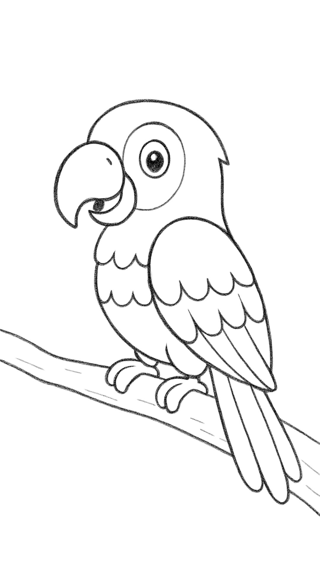 parrot coloring pages free printable
