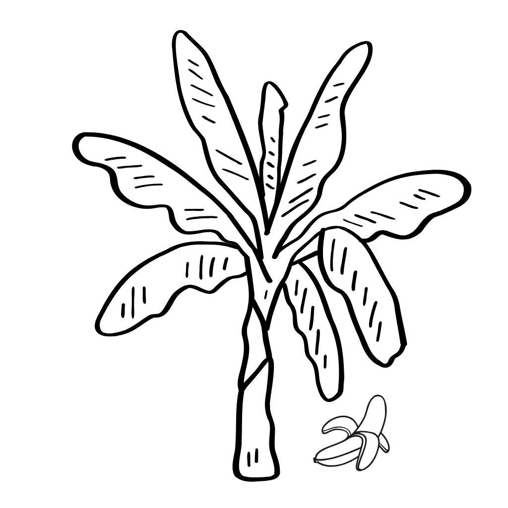 banana tree coloring pages