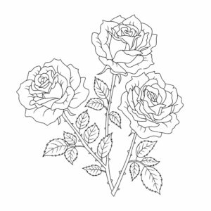 coloring pages roses