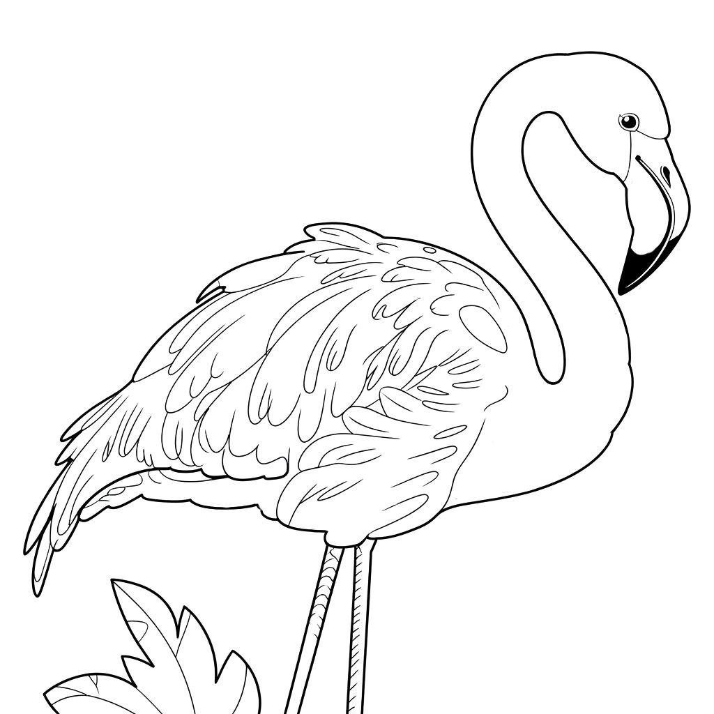 coloring page of flamingo