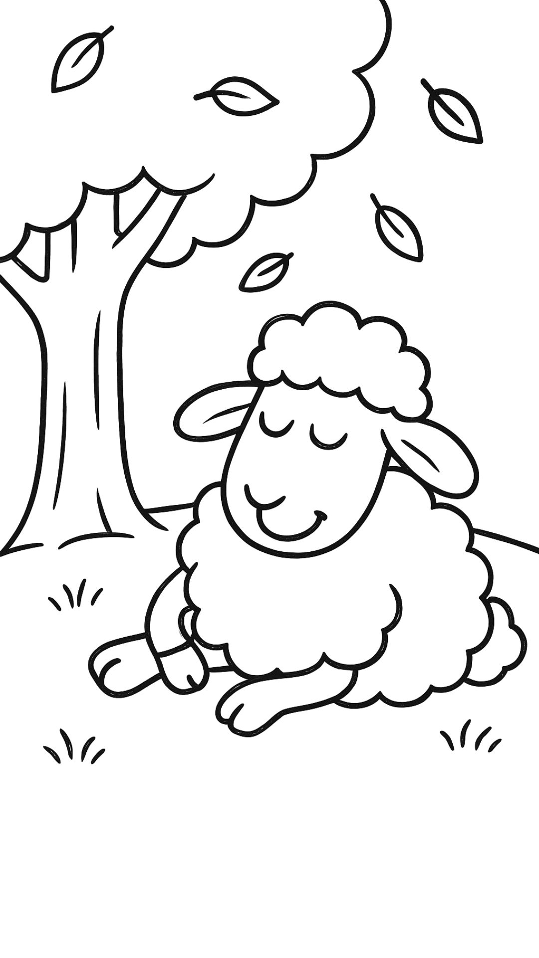 sheep color sheet