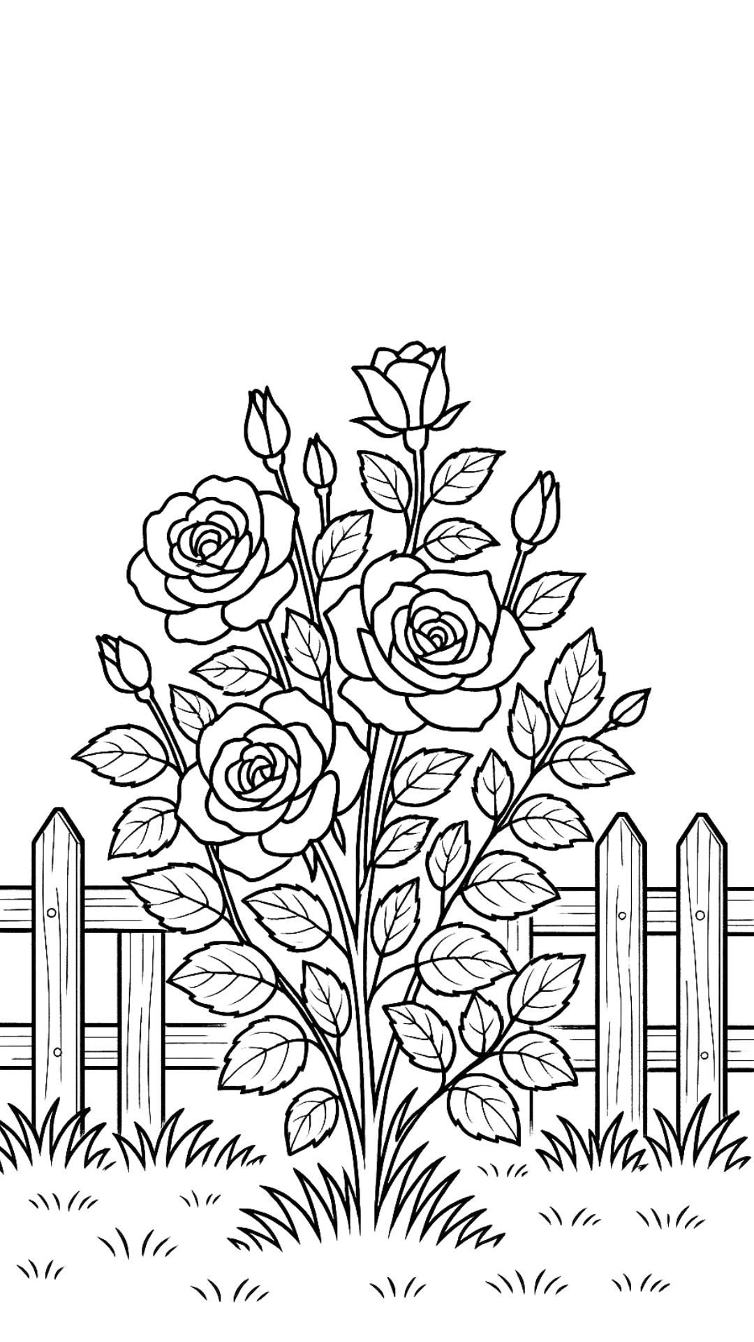rose bush coloring page