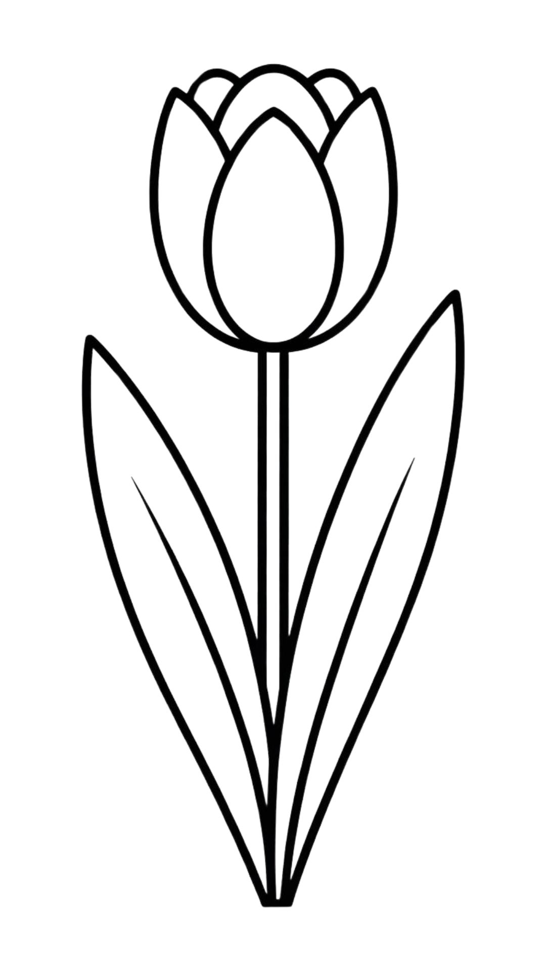 free printable tulip coloring pages