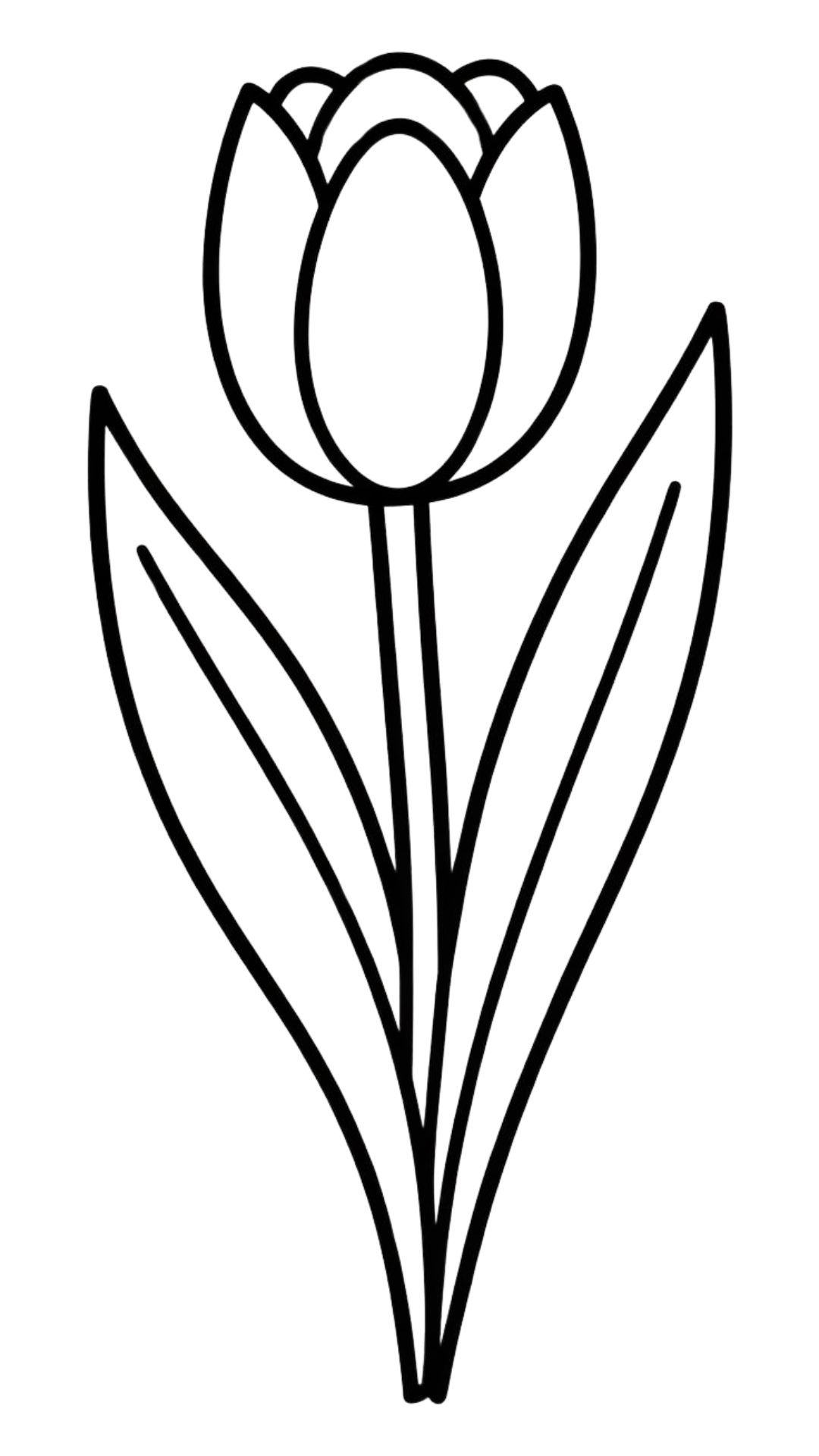 easy tulip coloring pages