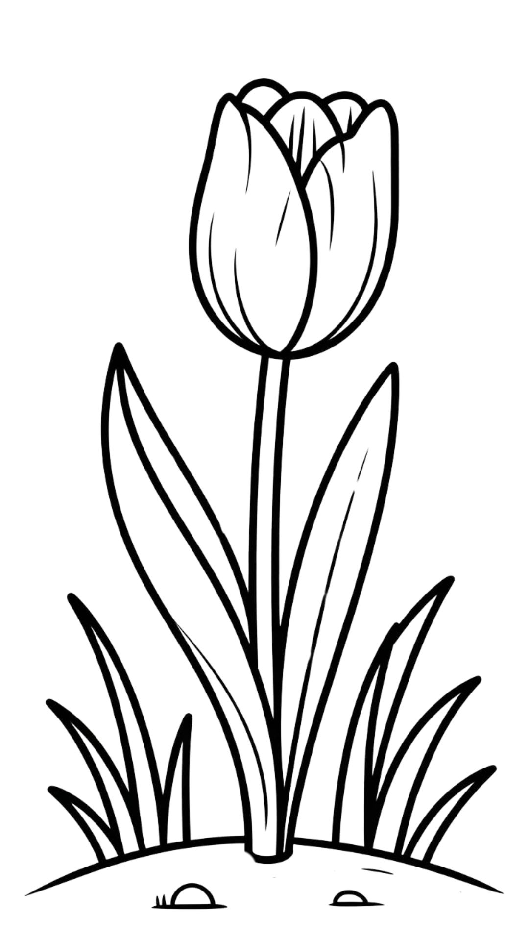 tulips coloring pages printable