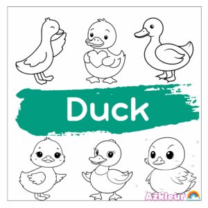 Duck Coloring Pages