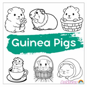 Coloring Pages Guinea Pigs