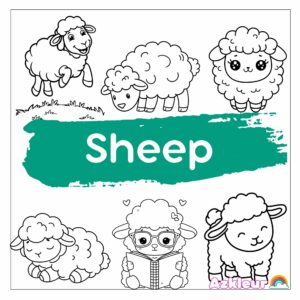Sheep Coloring Page