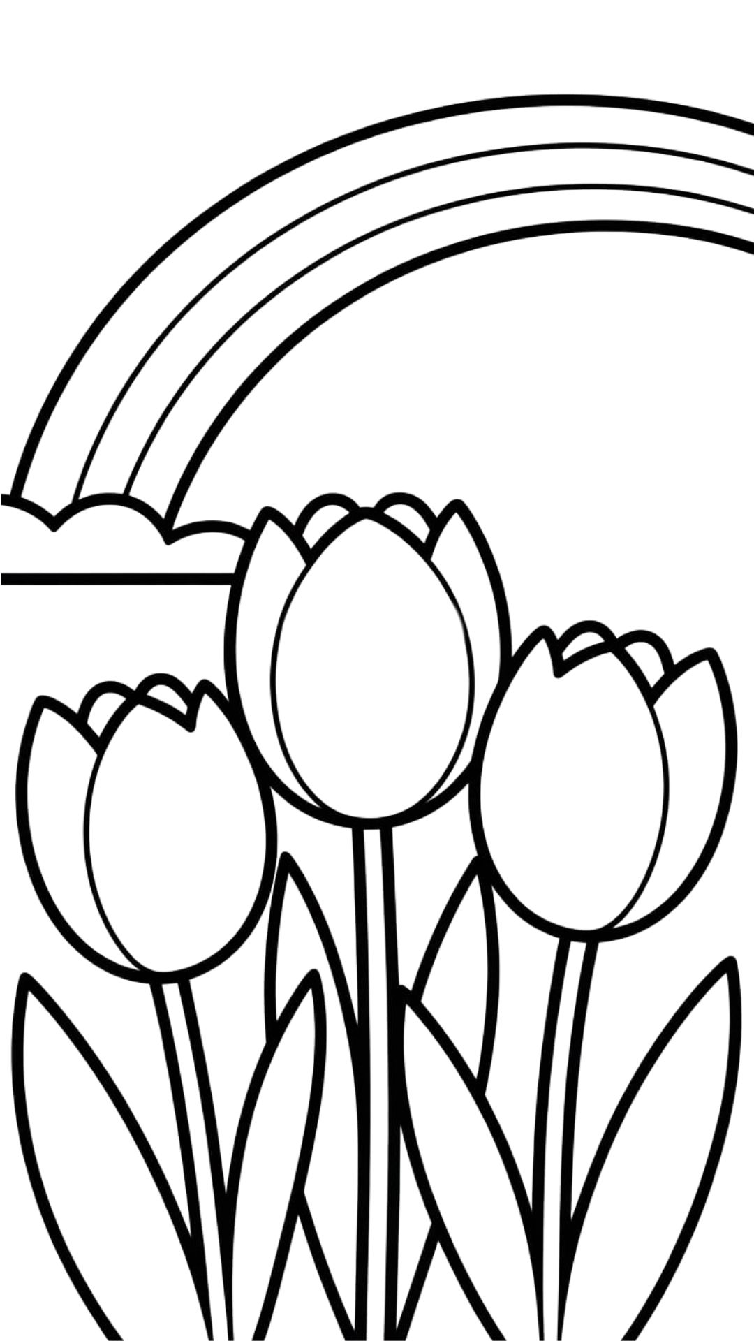 tulip flower coloring sheet