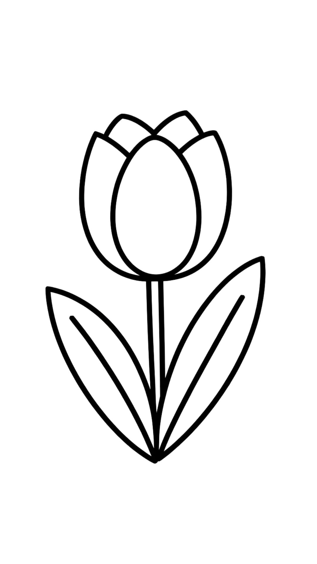 tulip color sheet