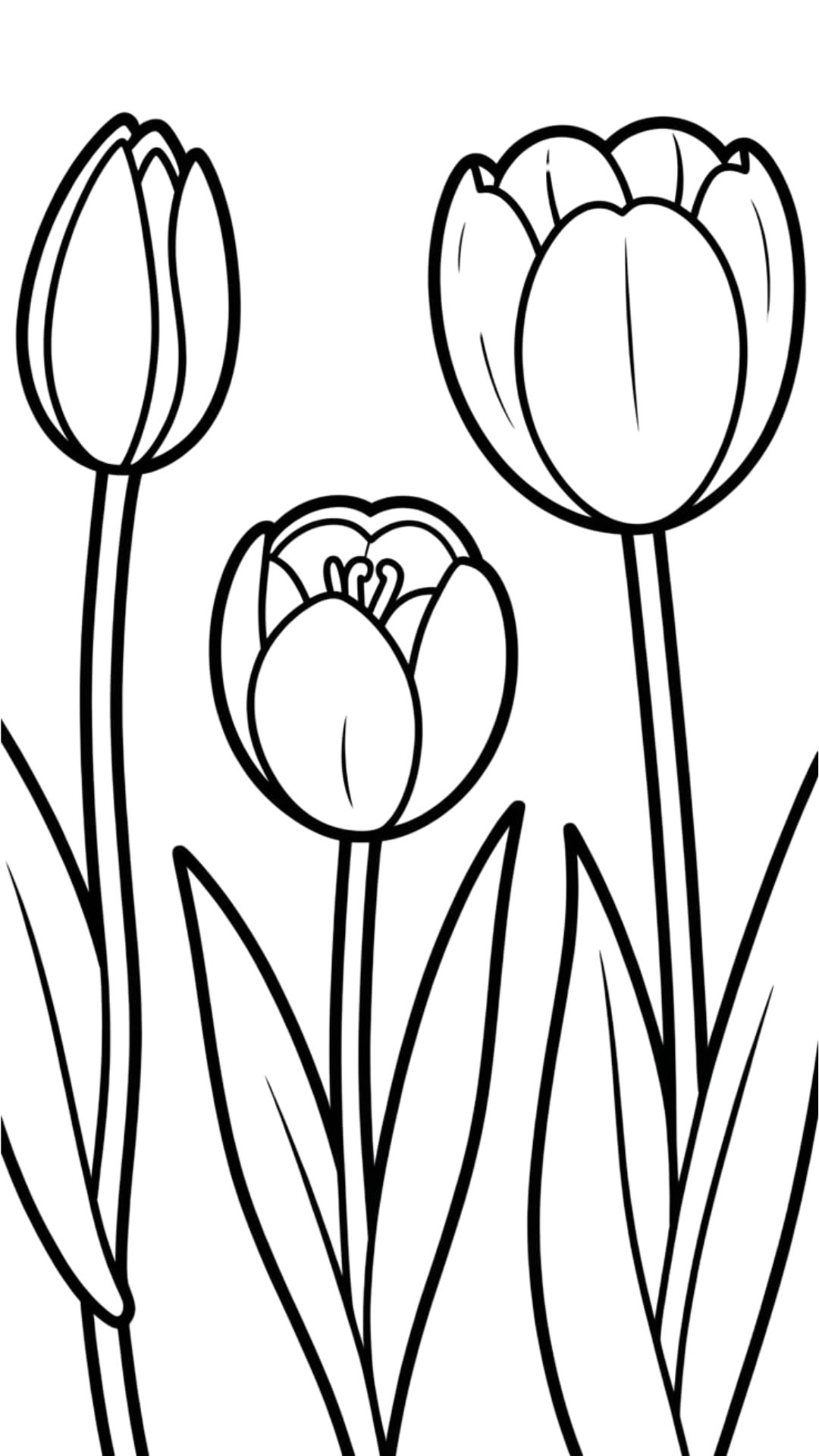 tulip flower coloring pages