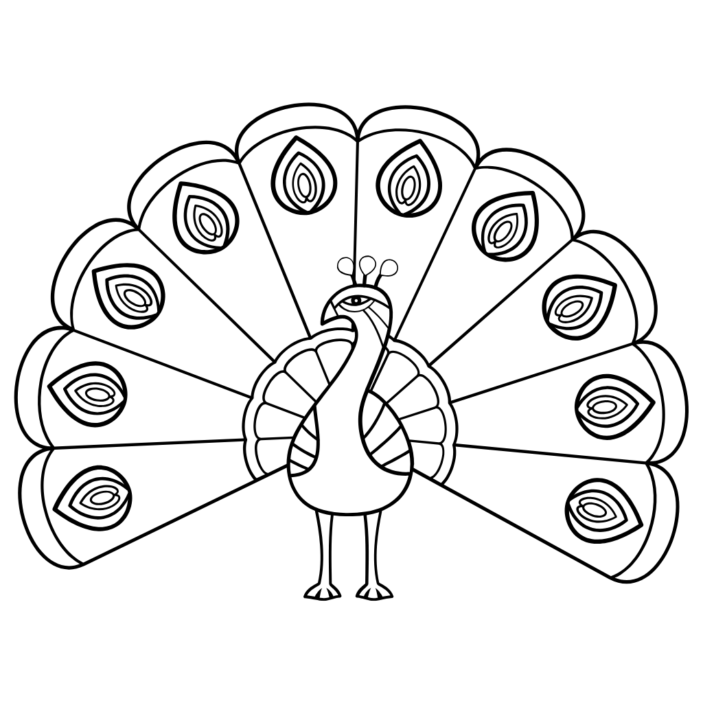 peacock coloring page