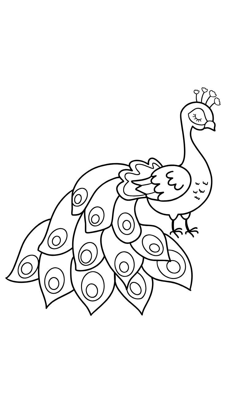 peacock coloring pages